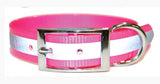 SunGlo Collar Reflective Strip w/Engraved Name Plate (Ring by Buckle)
